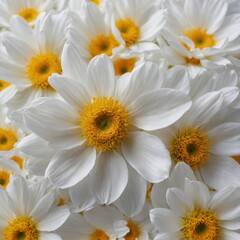Fototapeta premium Delicate painting of soft white flower petals with a vibrant yellow center.