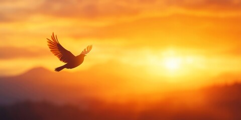 Obraz premium A majestic bird soars through a vibrant sunset sky, symbolizing freedom and tranquility in nature's breathtaking display.
