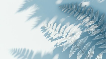 Elegant white ferns with shadows on a blue background.