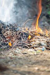 Close-up of a small outdoor fire burning dry twigs and branches, producing flames and smoke,...