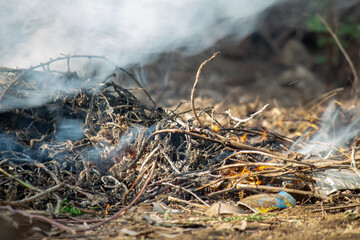 Close-up of a small outdoor fire burning dry twigs and branches, producing flames and smoke, symbolizing survival, warmth, and natural elements.