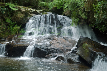 Fototapeta premium cascade, riviere, forêt primaire tropicale, Parc National Andasibé Mantadia, Madagascar