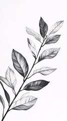 A detailed black and white illustration of a branch with leaves, showcasing intricate shading and realistic textures.