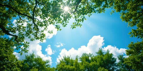 Obraz premium A Sunny Day's View Through Lush Green Foliage and Bright Blue Skies with Puffy White Clouds