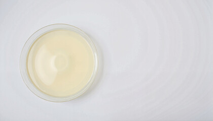 Fototapeta premium Petri dish with creamy liquid on a light background and copy space, Chemistry theme