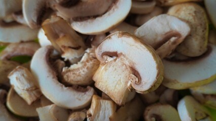 mushrooms on a white background