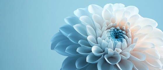 Obraz premium Close-up of a delicate, light blue and white dahlia flower against a soft blue background.