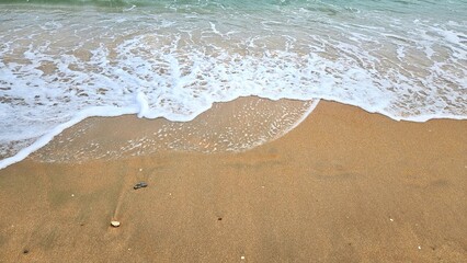 Sea water wave and sand beach with seashell background for decoration on summer holiday and coastal concept.