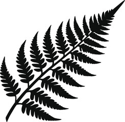 Realistic painting of  fern silhouette leaf  with white background