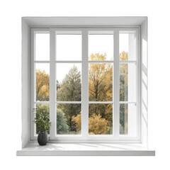 window with white background