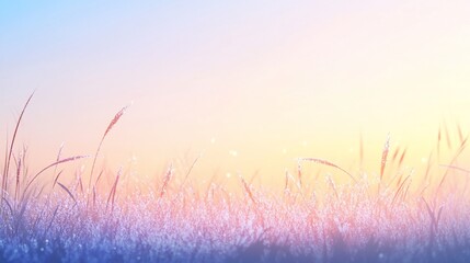 Obraz premium Frozen grass field at sunrise.