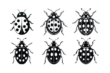 Fototapeta premium Ladybug (Coccinellidae) silhouette design, labeled linocut vector illustration.