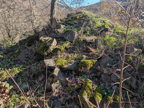 Rocce e muschio sul monte Nerone nelle Marche