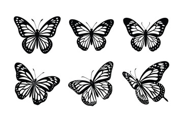 Monarch Butterfly (Danaus plexippus)  silhouette design, labeled linocut vector illustration.