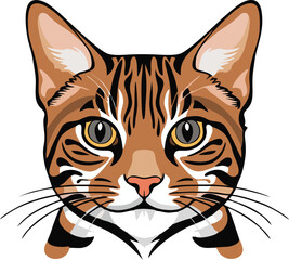 Bengal cat vector illustration white background