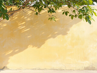 City Wall Texture in the Sun