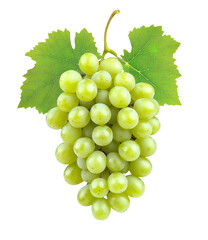 High-Quality PNG green grapes bunch with leaves on white background