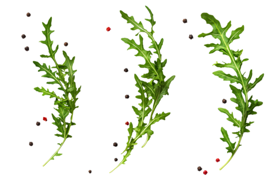 High-Quality PNG arugula leaves with peppercorns on white background