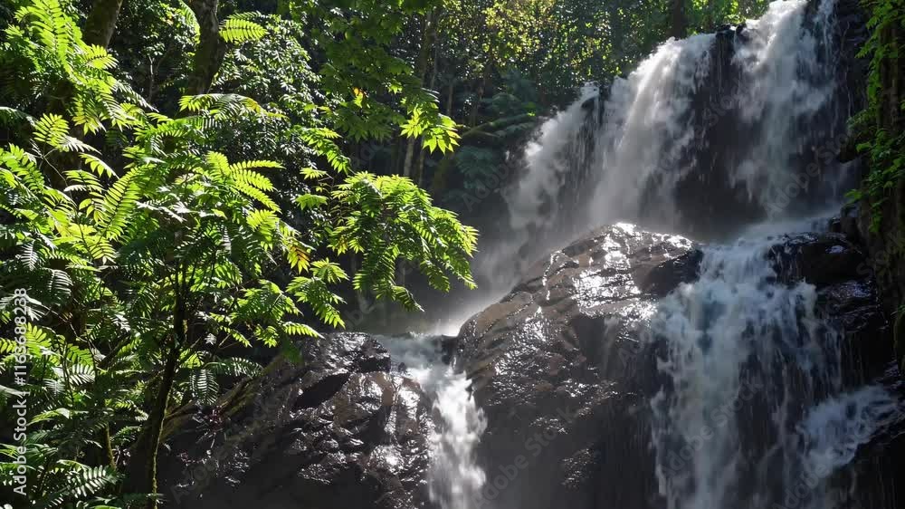 Poster majestic waterfall cascading over rocks surrounded by lush green foliage in a serene forest setting