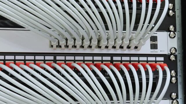 Connecting cables with an Rj45 connector to the Internet switch. 