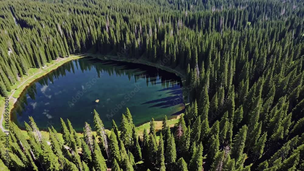 Aufkleber scenic aerial view of a tranquil forest lake surrounded by tall evergreen trees in a mountain region
