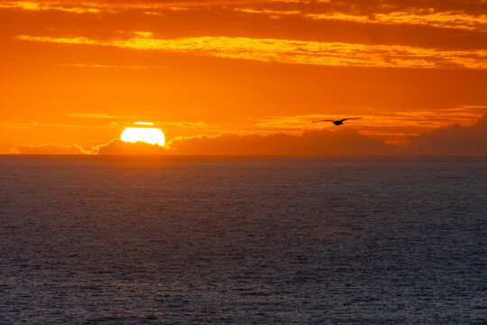 Sunset over the Atlantic above the Safi fortress in Morocco