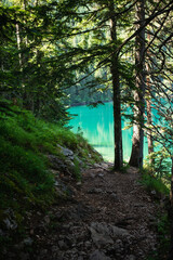 Black lake montenegro landscape. Durmitor national park, autumn summer, calm lake forest mountains
