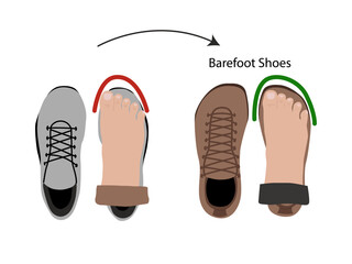 Barefoot shoes. Compare regular vs barefoot shoes. This shoe has a flexible upper and outsole that allows the feet to move and flex naturally, and effectively engage every bone