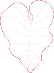 Urban Jungle: A Monstera Leaf Illustration