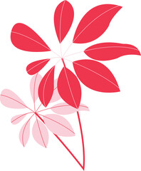 Urban Jungle: A Monstera Leaf Illustration