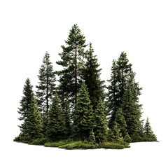 Group of trees are standing in a line, with some of them being taller than others.