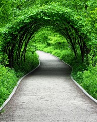 Enchanted Journey: Exploring Self-Discovery Through the Mystical Forest Path