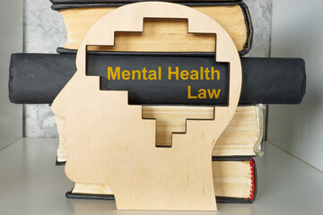 Book titled mental health law and a head model.