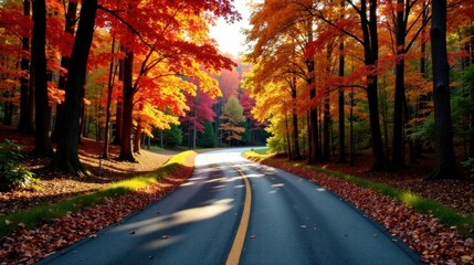 Obraz premium Autumnal Road Winding Through a Vibrant Forest Canopy