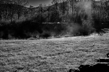 Winter fog rises from the frozen winter meadows.