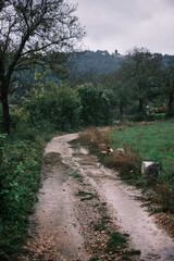 Suggestive gravel road of the karst