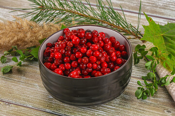 Natural organic wild forwst lingonberry