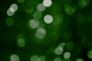 forest green, lime, viridian, olive, sage bokeh background with soft, circular light spots in...
