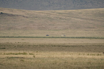 Obraz premium landscape of the Ngorongoro crater in Tanzania. safari