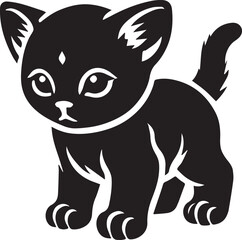 black cat