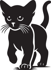 Obraz premium black cat