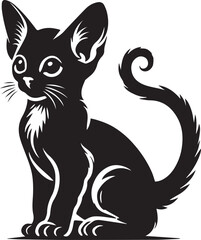 black cat