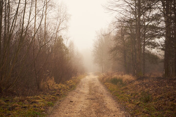 droga gruntowa,mgła  © Marcin Łazarczyk
