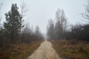 droga gruntowa,mgła  © Marcin Łazarczyk