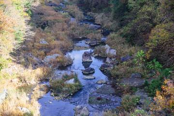 神奈川登山橋　紅葉風景　紅葉　もみじ