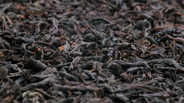 Dried black tea leaves in close detail. Macro shooting of ceylon tea. Slider shot. Textured surface, dark natural tones. Depth of field, selective focus. Beverage, wellness, health, herbal tea themes.