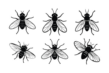 Housefly (Musca domestica) insect silhouette design, labeled linocut vector illustration.