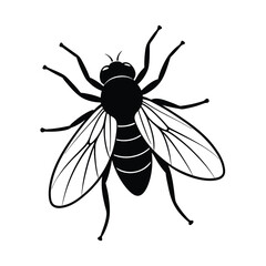 Housefly (Musca domestica) insect silhouette design, labeled linocut vector illustration.