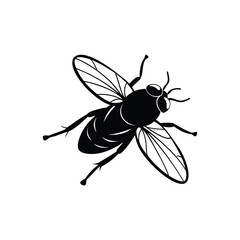 Housefly (Musca domestica) insect silhouette design, labeled linocut vector illustration.