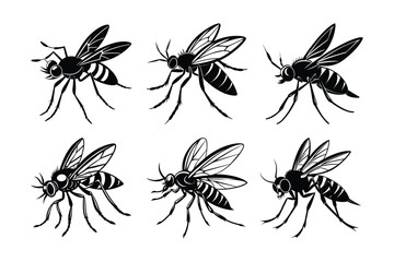 Mosquito (Culicidae) insect silhouette design, labeled linocut vector illustration.